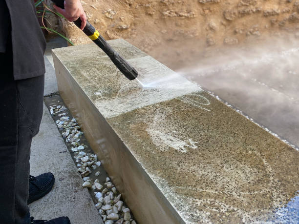 Best Pressure Washing Company Near Me  in Tarpon Springs, FL