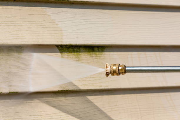 Best Sidewalk Pressure Washing  in Tarpon Springs, FL